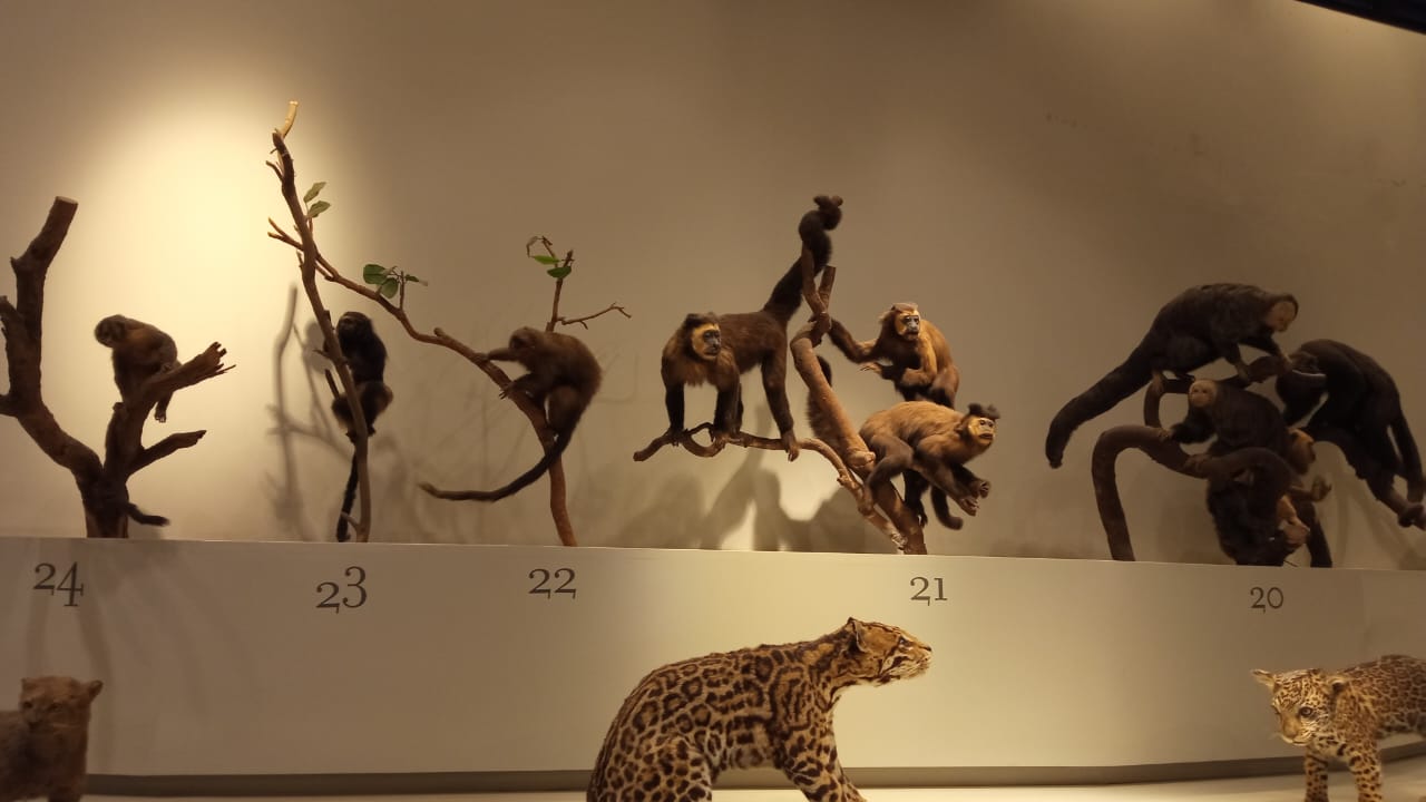 Museu de zoologia e feira das profissões 2023